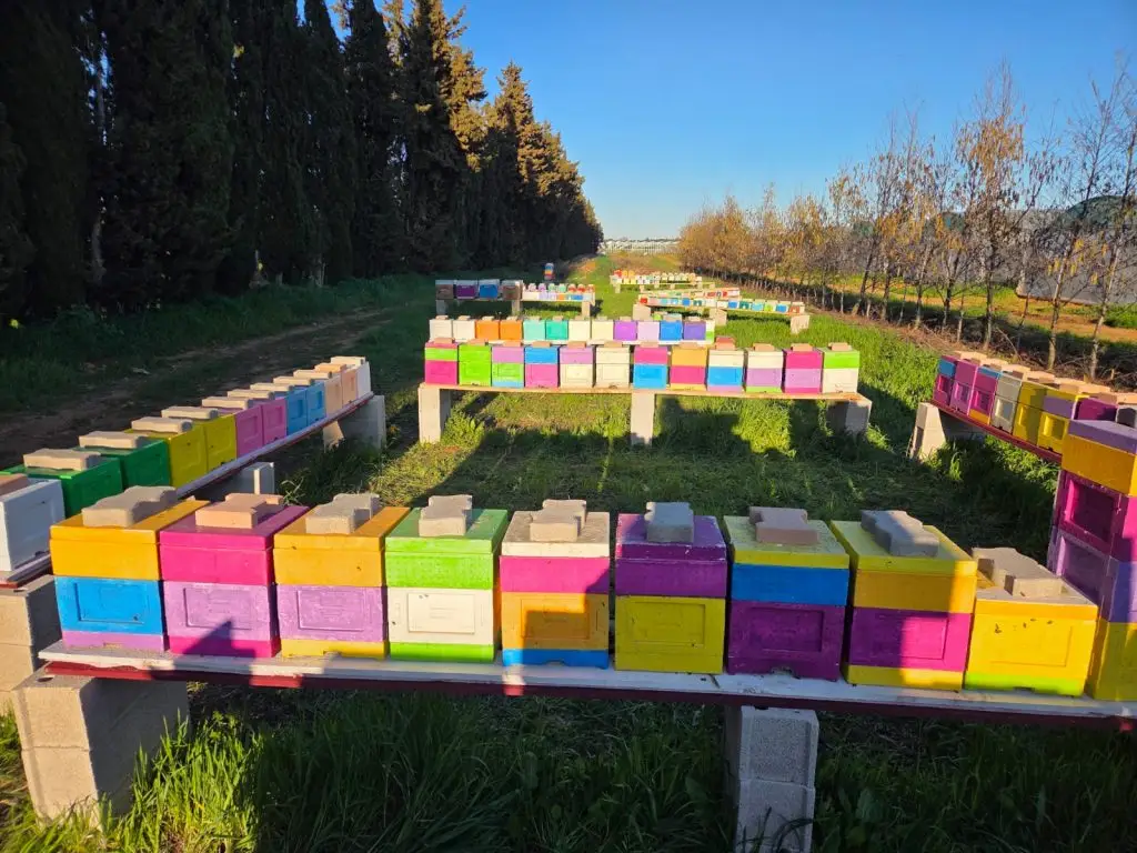 Station de fecondation de reines abeilles